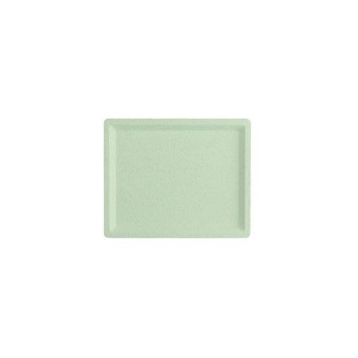 Plateau Gn1/2 ZÉNITH 32,5x26,5 Polyester Menthe Moucheté - Henri Julien