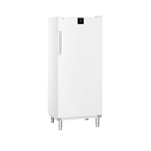 Armoire froide négative GG5210 - 513L - Liebherr - Henri Julien