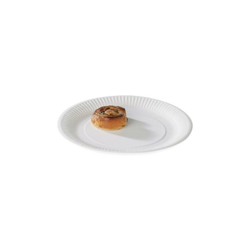 100 Assiettes Plate Carton ø230mm - Henri Julien