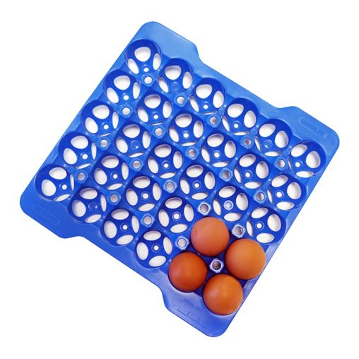 4 Plateaux à œufs réutilisables 290x290xh40mm Polypropylène Bleu - Henri Julien