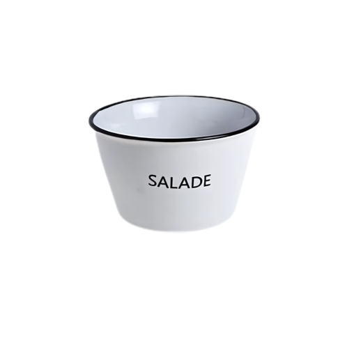Bol SALADE / Acier Émaillé - Henri Julien