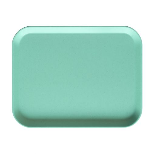 Plateau Self ZÉNITH 45,7x35,6mm Polyester Menthe Moucheté - Henri Julien