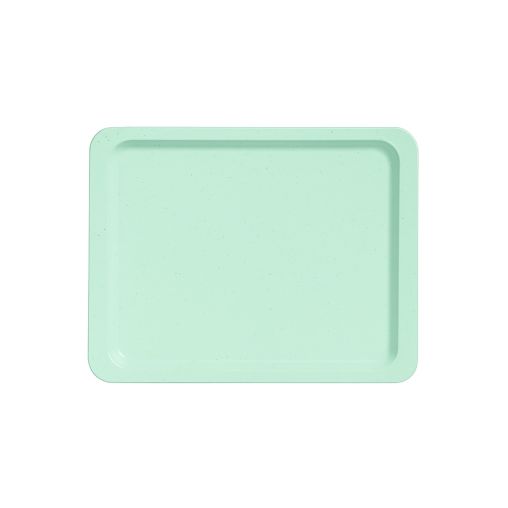 Plateau Gn1/2 ZÉNITH 32,5x26,5 Polyester Menthe Moucheté - Henri Julien